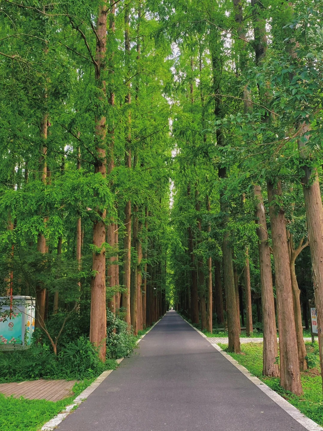 东平旅游攻略：探索这片美丽的自然与人文之地