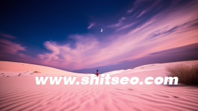 什么是seo网站系统