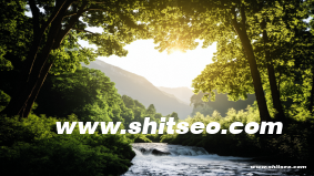 沧州网站SEO优化策略：提升本地搜索排名与在线曝光