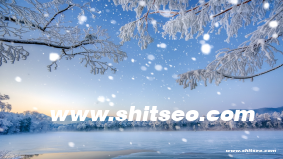 soe-998域名SEO优化价值分析：提升网站流量与搜索排名的策略