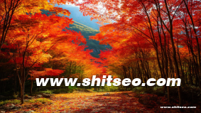 SEO关键词排名：提升网站流量的核心策略