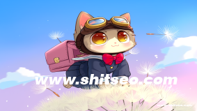 什么是“ERP采购流程SOP”？
