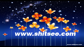 信阳网站SEO：提升本地企业竞争力的核心策略