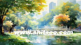 新手SEO必须知道的SEO常识