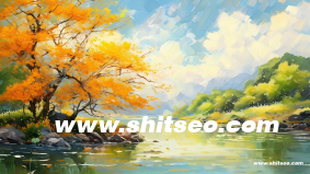 新人SEO浅谈