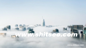 收录查询：提升网站SEO表现的必备工具