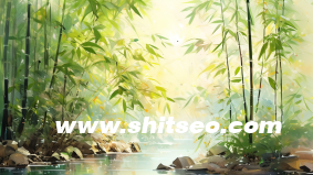 关键词排名所影响的因素