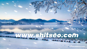 haosecc域名SEO优化分析：提升品牌影响力与网站流量的策略