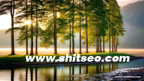 漯河网站SEO：提升本地竞争力与在线业务增长的关键策略