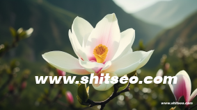 用手机制作网页的软件