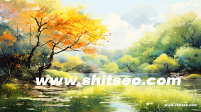 原创：如何写好网站中的三个重要标签。