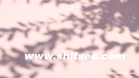 软文代发：提升品牌曝光与SEO优化的有效策略