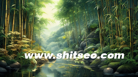 新网站，SEO可以这样入手