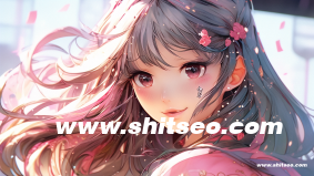 运营SEO是什么意思