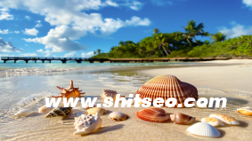 【执行SOP流程表模板】清晰、标准、可复制的操作执行规范！