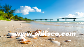 【SOP处理流程系统】打造企业高效执行力的数字引擎