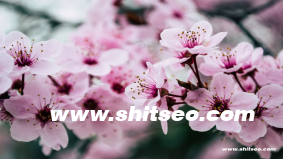 营销之道：掌握核心策略，引领品牌成功