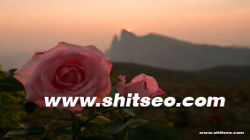 汕头网站SEO：提升企业网站曝光率与排名的关键策略