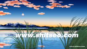 张家口网站SEO优化指南：提升网站流量的关键策略