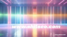 什么是外贸seo