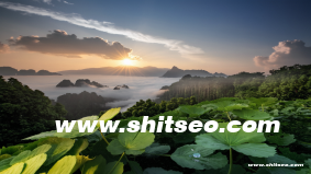 保定网站优化技巧：提升企业线上影响力与用户体验