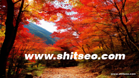 黄冈网站SEO：提升网站排名与品牌曝光的有效策略