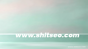 d2687域名的SEO优化价值分析：数字域名的独特优势与应用前景