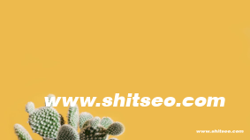 整站SEO优化：全面提升网站整体排名的策略与技巧