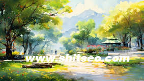 外贸网站优化要注意哪些方面