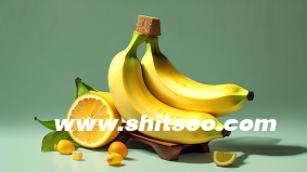 如何快速做网站排名？