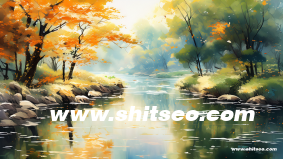 网站制作流程详解，从策划到上线的全攻略