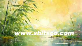 服务器的稳定与排名的关系