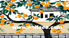 pisswc域名的SEO优化潜力与分析：选择与挑战并存