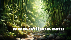 新站如何做到秒收和快速排名首页