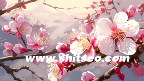 小红书运营业务，从0到1的策略与实战经验