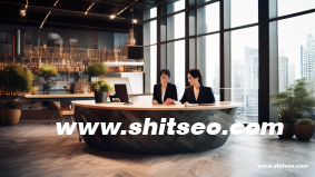 seo属于什么职位类型