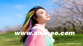 ‘短视频+私域’的SEO引流闭环打法