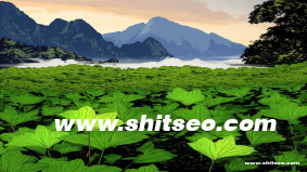 廊坊网站推广策略：提升品牌曝光与业务增长的实用方案