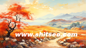 小红书，打造个性化生活指南的社交电商平台
