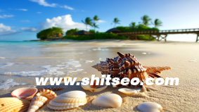 什么是“SOP流程跟进表”？