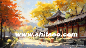小红书运营模式和思路PPT:打造高效运营策略