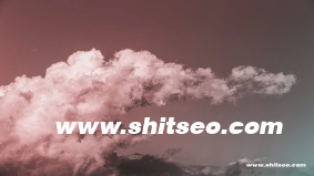 WTFPASS域名的价值解析与SEO优化策略