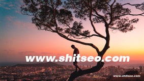 SEO查询优化：提升网站排名的关键策略