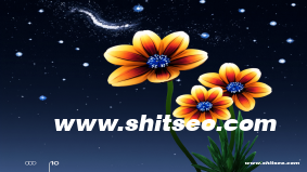 信阳网络推广：提升品牌曝光与市场份额的必由之路