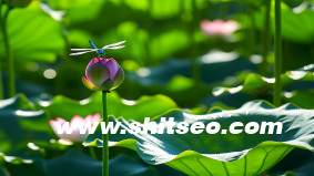 什么是“钉钉SOP流程”？