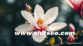 手机网站制作方法大全