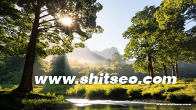 沧州网站优化技巧：提升网站流量与用户体验