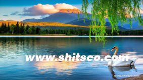 开封网站优化：提升网站性能与用户体验的关键策略