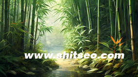 SEO应该注重细节和思维