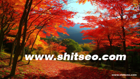 孝感网站SEO：提升本地企业在线可见度的关键策略